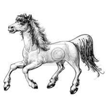 Арт-обои - Лошадь карандашом