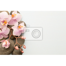 Фотообои - Спа и орхидеи