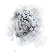 Арт-обои - Портрет белого тигра