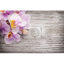 Фотообои - Деревянная доска и орхидея