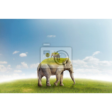 Фотообои - Слон на зеленом лугу
