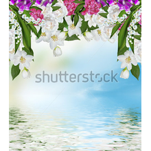 Фотообои 3Д с цветами и отражением в воде