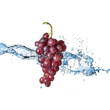 Фотообои с виноградом и каплями воды