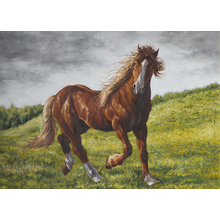 Арт-обои — Рисованная лошадь