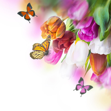 Фотообои - Бабочки и тюльпаны