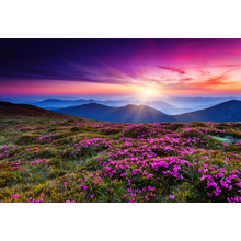 Фотообои "Розовое небо в горах" (пейзаж)