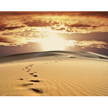 Фотообои - Пески в пустыне