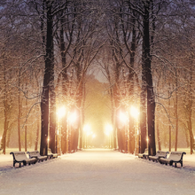 Фотообои - Зимний вечер в парке