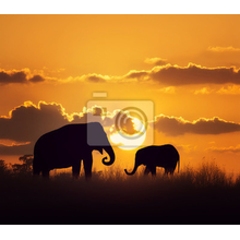 Фотообои со слонами на закате - Африканский пейзаж