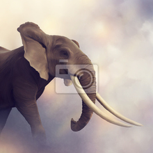 Фотообои со слоном крупным планом