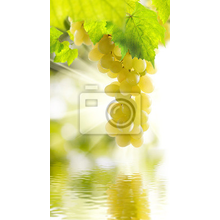 Фотообои для кухни "Виноград" (отражение в воде)