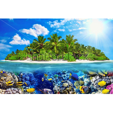 Фотообои с тропическим островом и подводным миром
