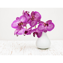 Фиолетовая орхидея в вазе