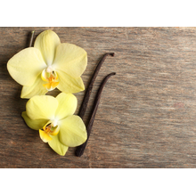 Орхидеи на деревянном фоне
