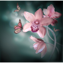 Орхидеи с бабочкой на темном фоне