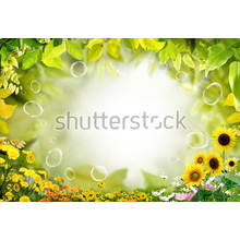 3Д Фотообои с листвой и разными цветами