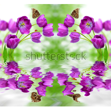 3Д Фотообои с фиолетовыми тюльпанами