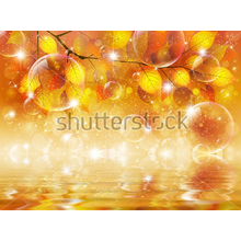3Д Фотообои с оранжевыми листьми
