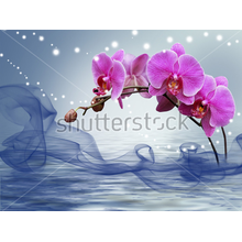 Фотообои 3Д с орхидеей