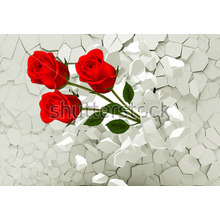 Фотообои с розами 3Д