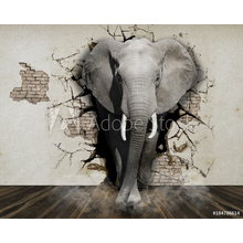 Фотообои 3D Слон