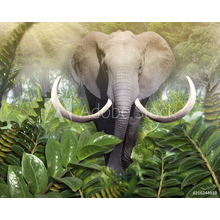 Фотообои со слоном в джунглях