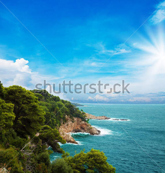  артикул 10023060