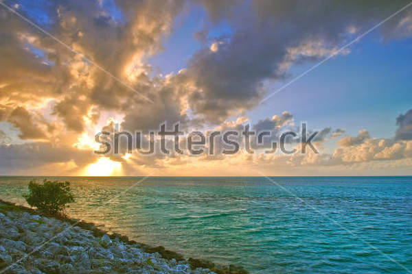  артикул 10023050