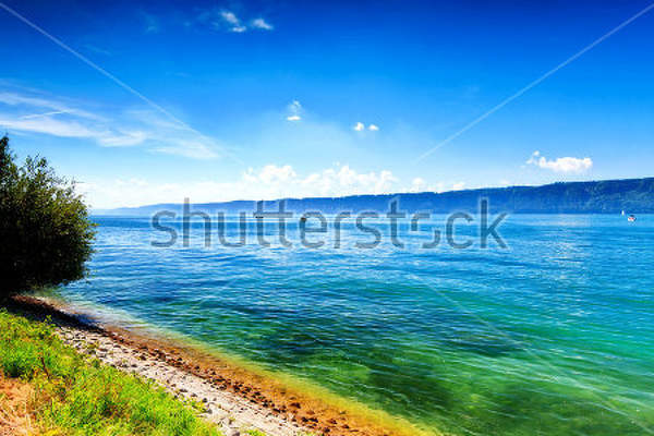  артикул 10023066