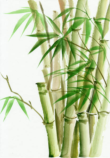 Арт-обои с нарисованным бамбуком артикул 10007067