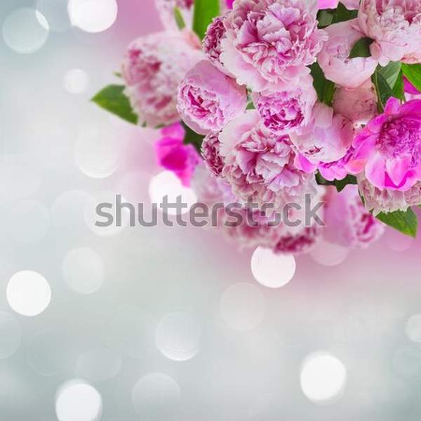  артикул 10041293