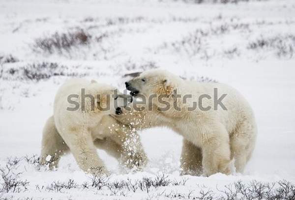  артикул 10041926