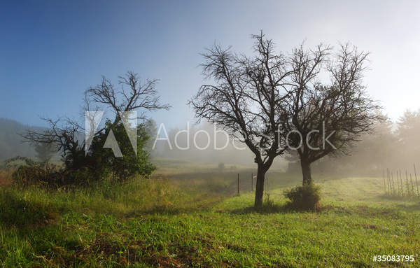  артикул 10042499