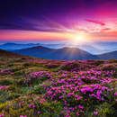 Фотообои "Розовое небо в горах" (пейзаж)