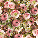 Фотообои - Фон из розовых роз