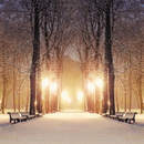 Фотообои - Зимний вечер в парке